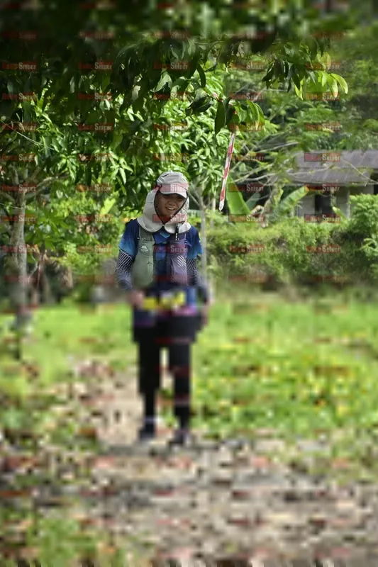 Photo ID 5499632