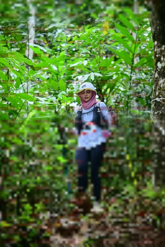 Photo ID 5499798