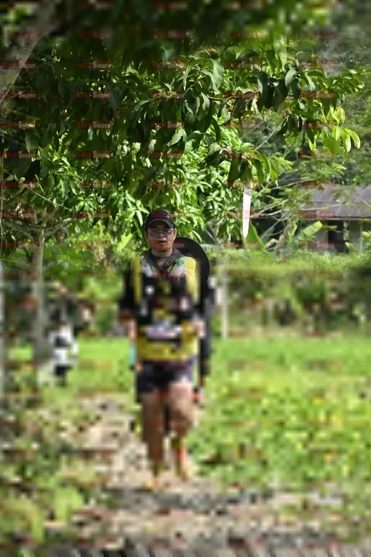 Photo ID 5499926