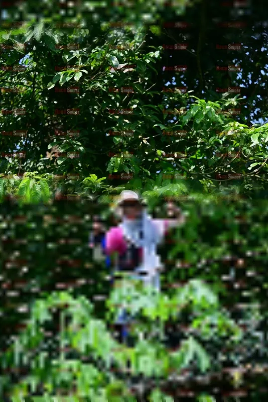 Photo ID 5502801