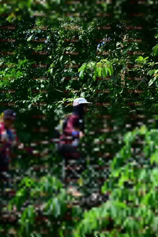 Photo ID 5502814