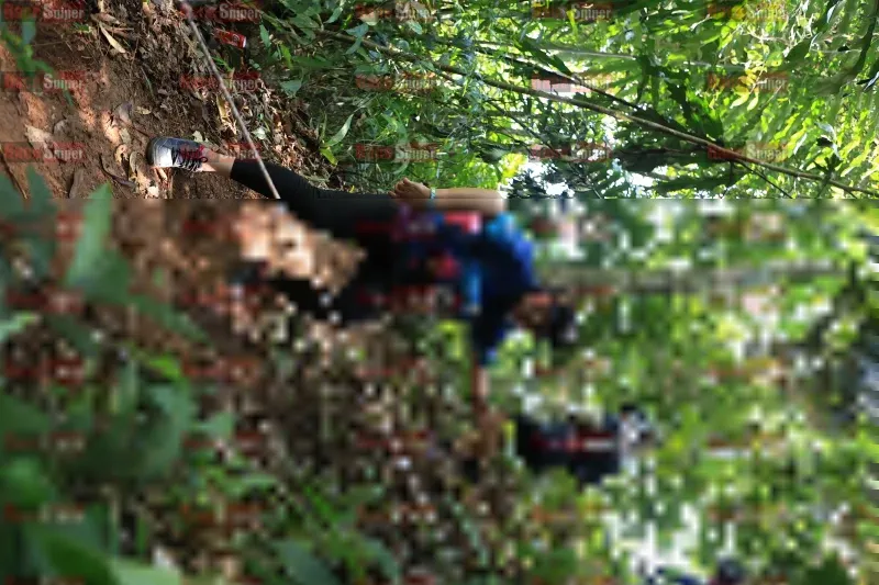Photo ID 5505469