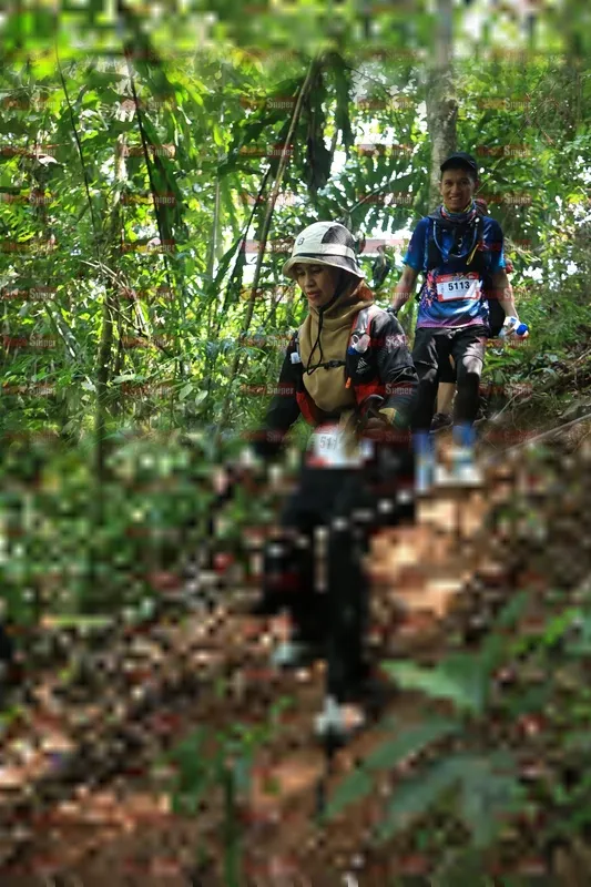 Photo ID 5505557
