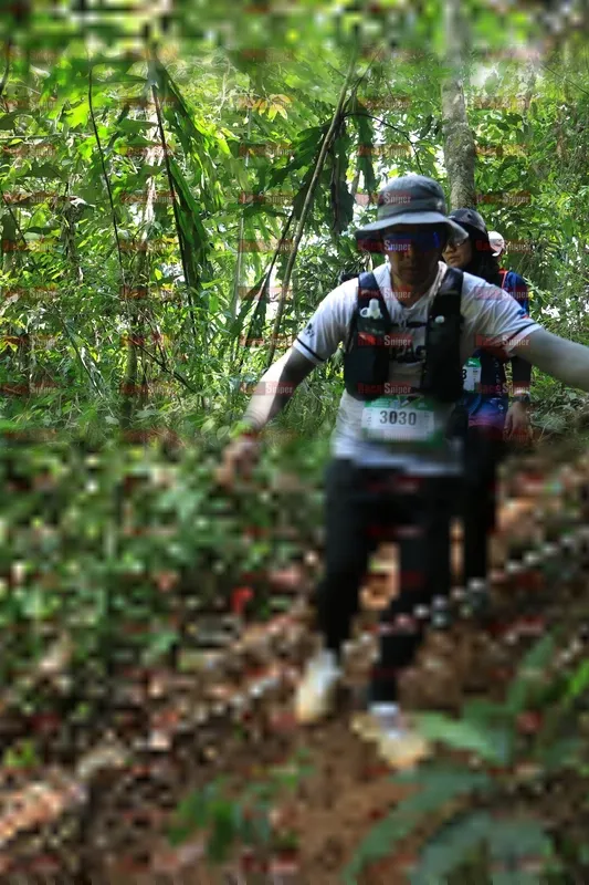 Photo ID 5505823
