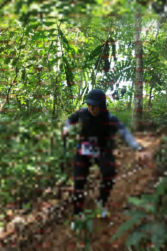 Photo ID 5506023