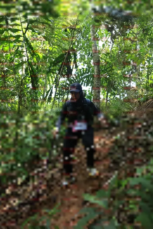 Photo ID 5506029