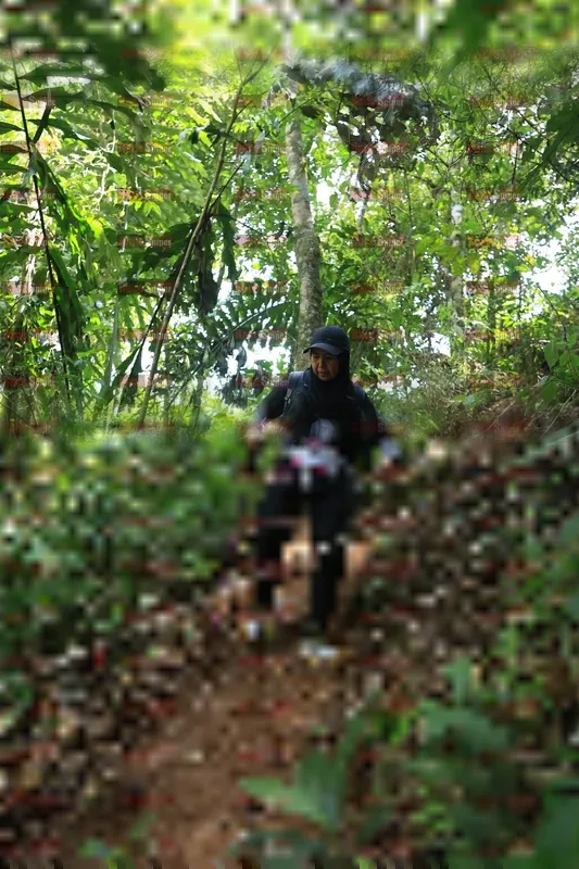 Photo ID 5506031