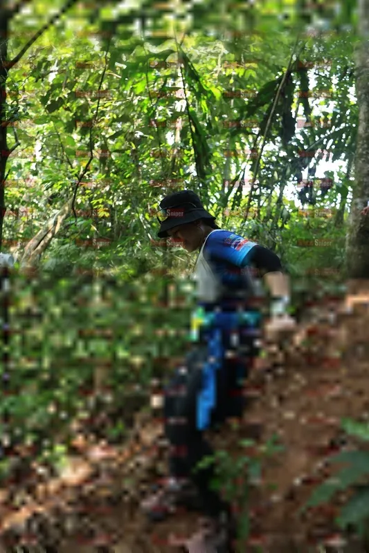 Photo ID 5506032