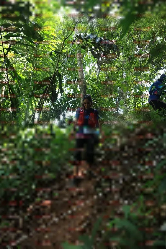 Photo ID 5506121