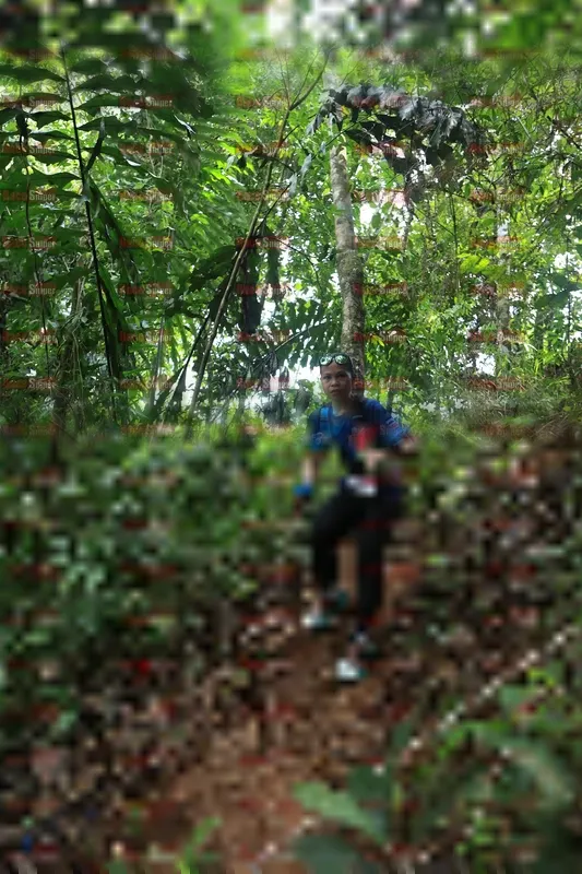 Photo ID 5509257