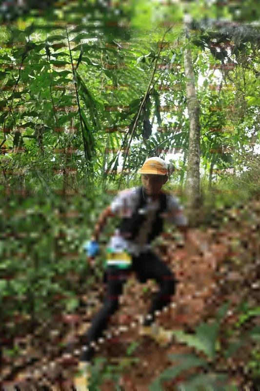 Photo ID 5509623