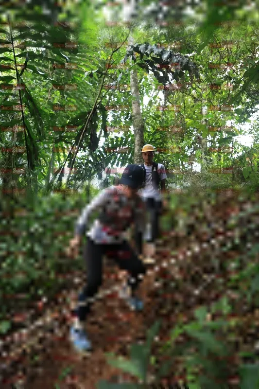 Photo ID 5509635