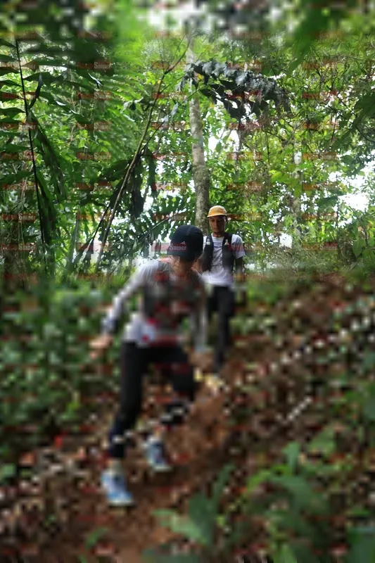 Photo ID 5509638