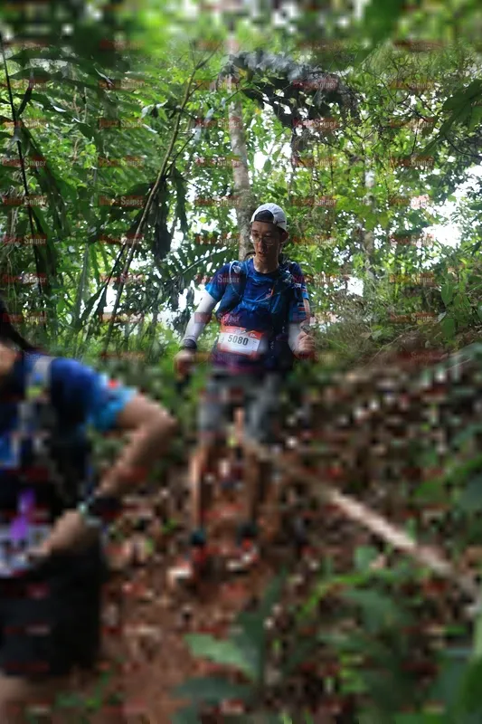 Photo ID 5509691