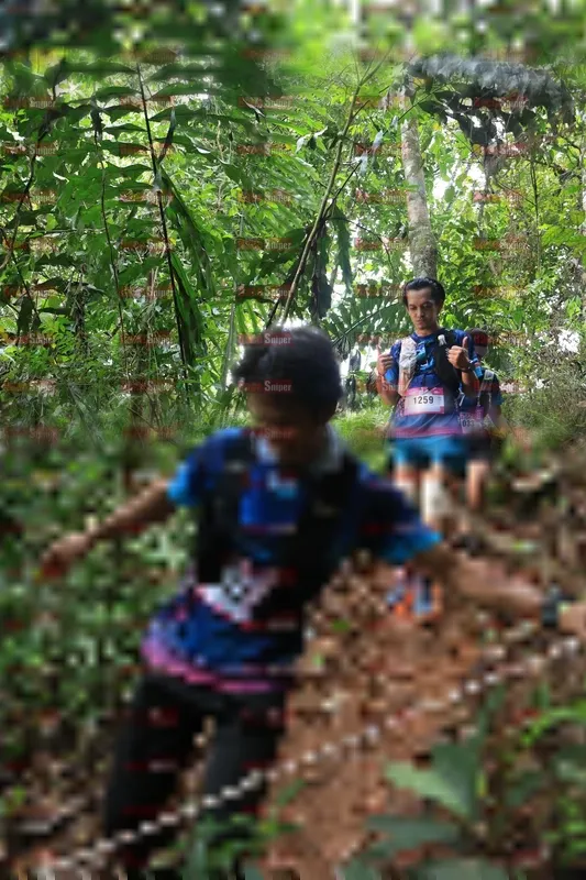 Photo ID 5509709