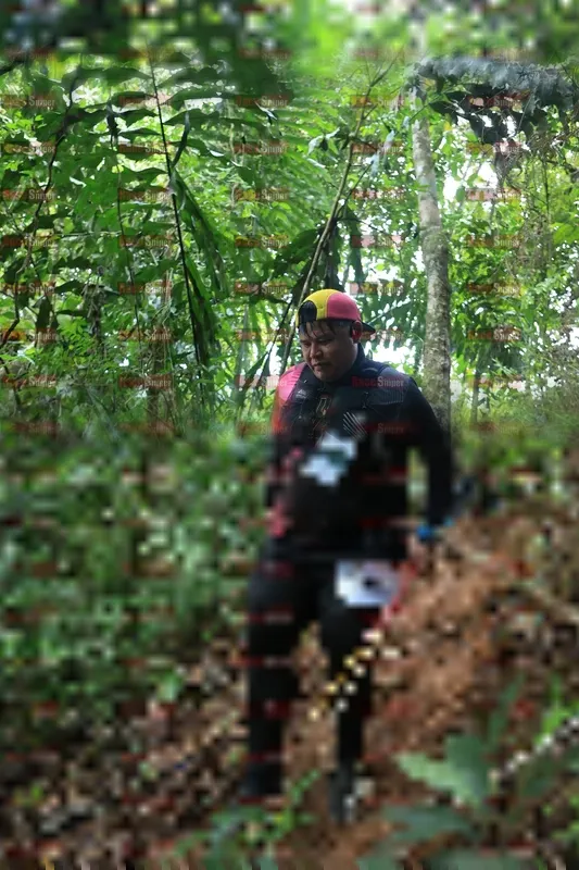 Photo ID 5509791
