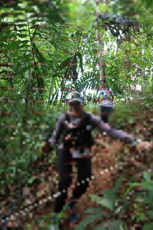 Photo ID 5509903