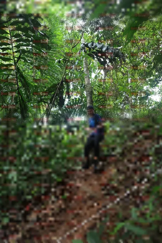 Photo ID 5509944