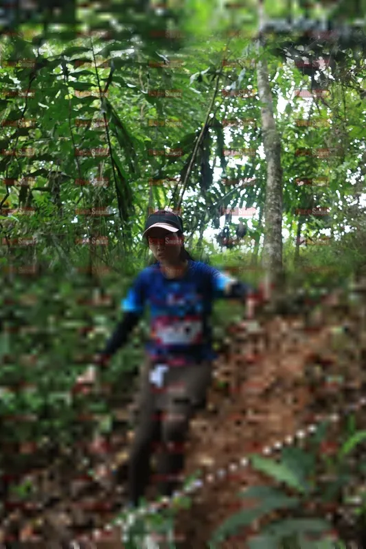 Photo ID 5509963