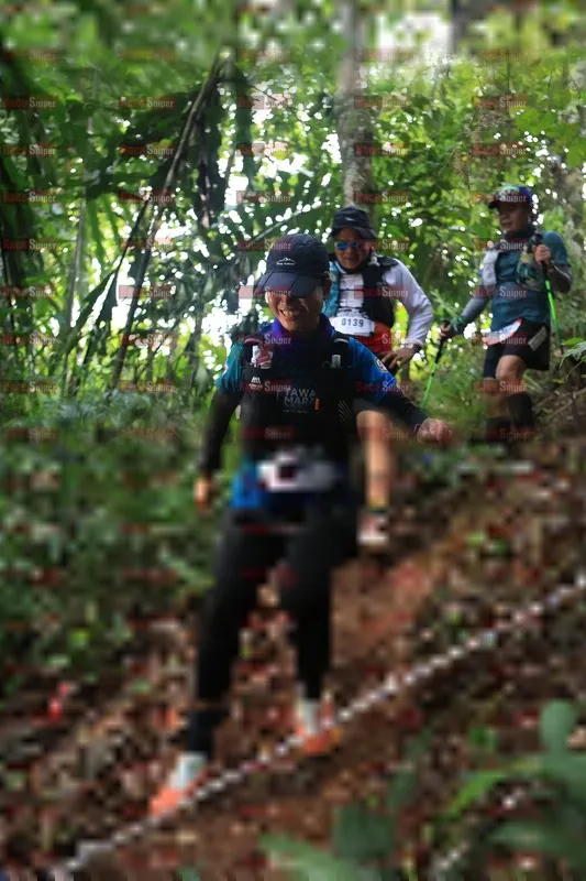 Photo ID 5510811
