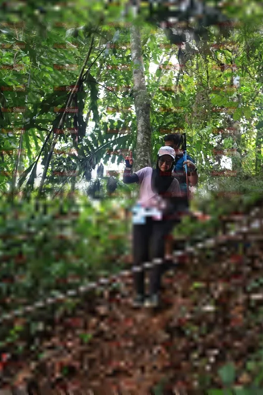 Photo ID 5510894