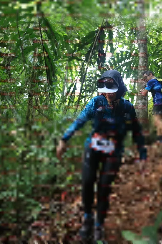 Photo ID 5510910
