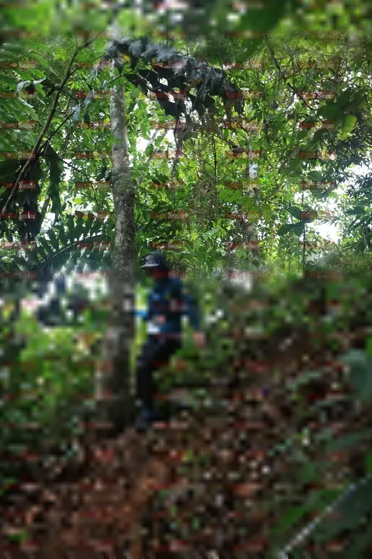 Photo ID 5510924