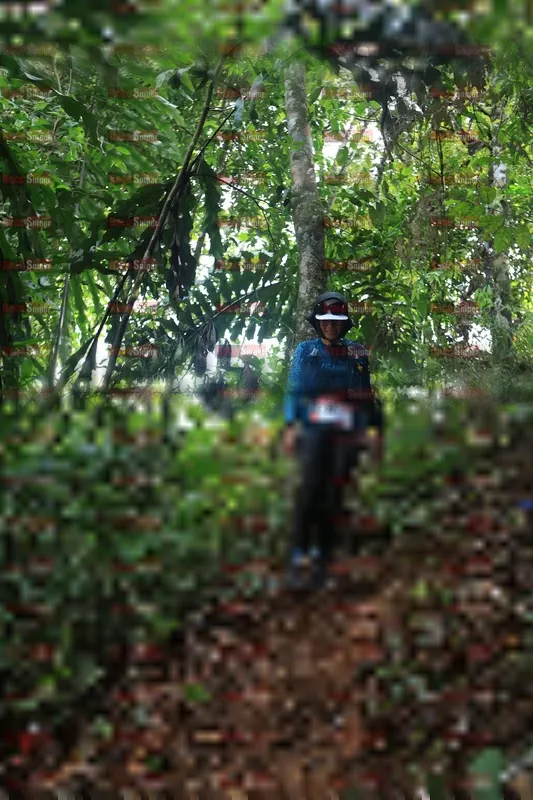 Photo ID 5510925