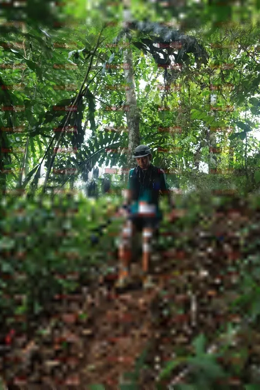 Photo ID 5510941