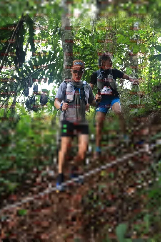 Photo ID 5511039