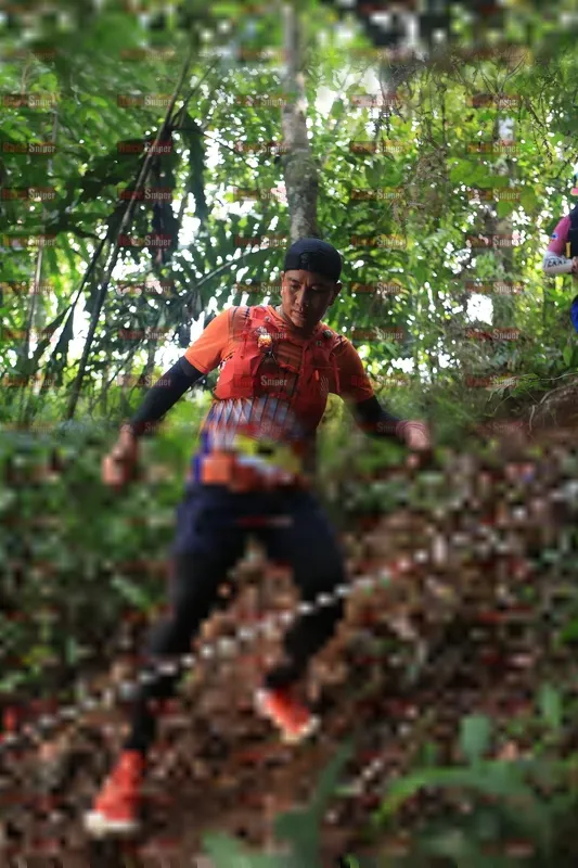 Photo ID 5511091