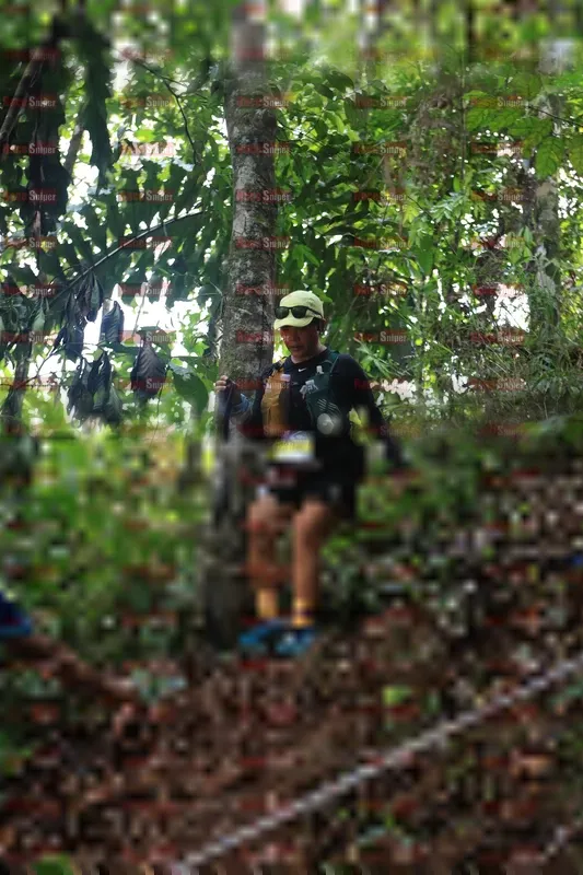 Photo ID 5511112