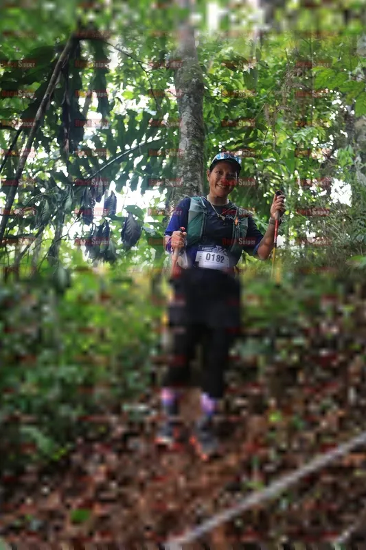 Photo ID 5511122
