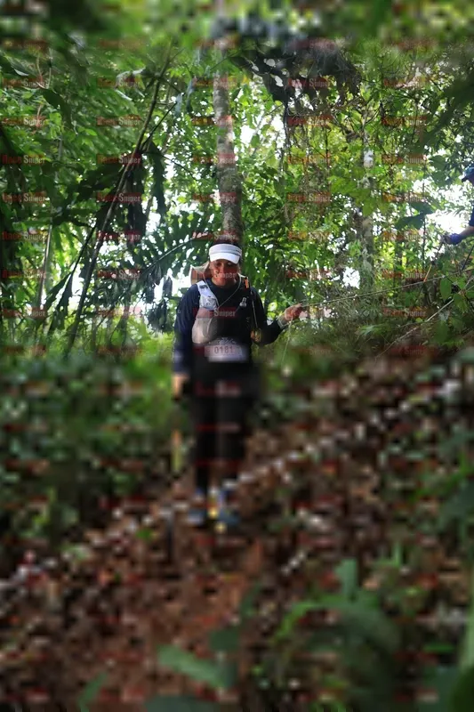 Photo ID 5511130