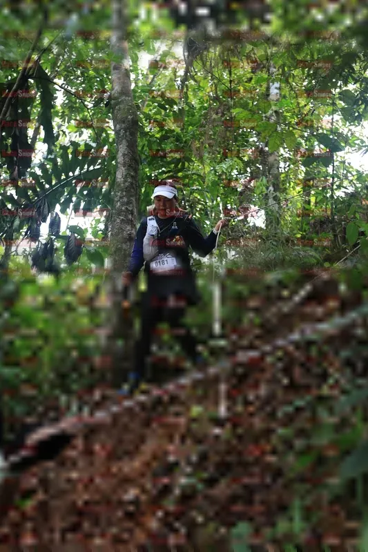Photo ID 5511135