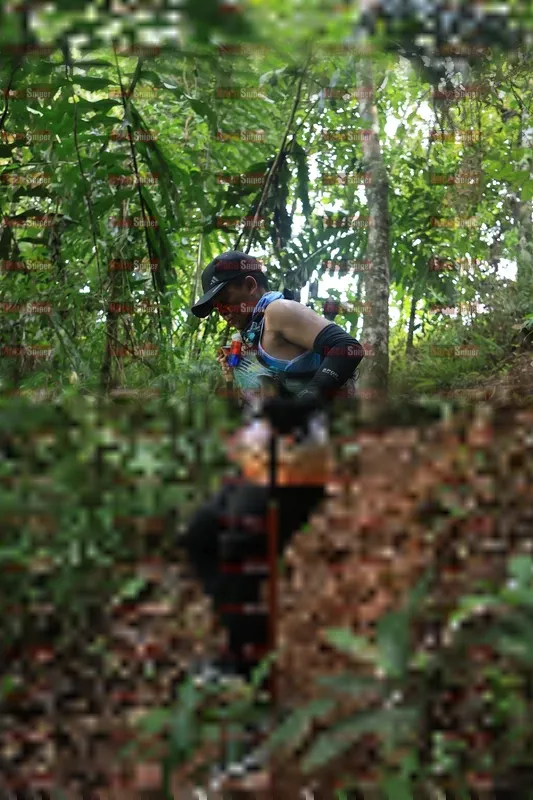 Photo ID 5511148