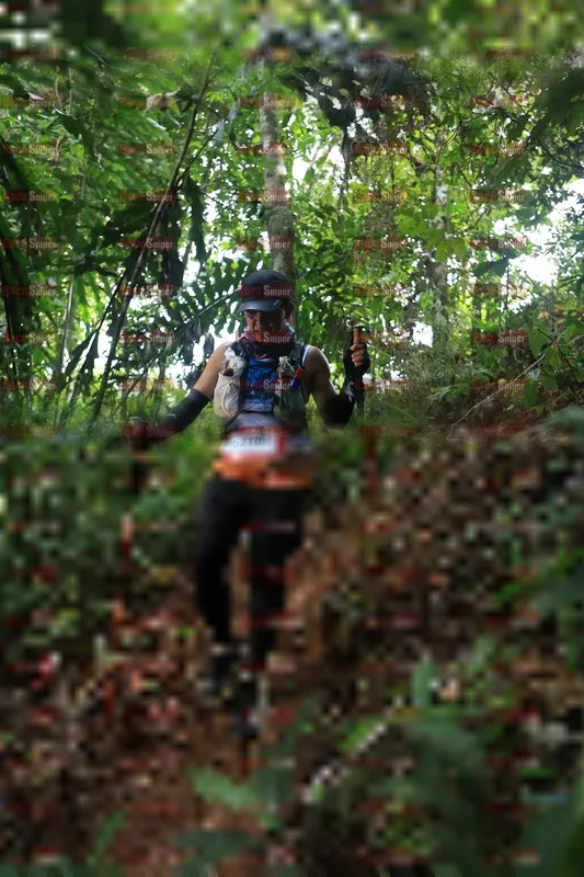 Photo ID 5511150