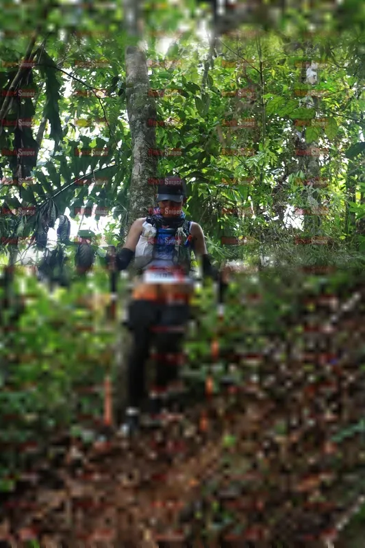 Photo ID 5511155
