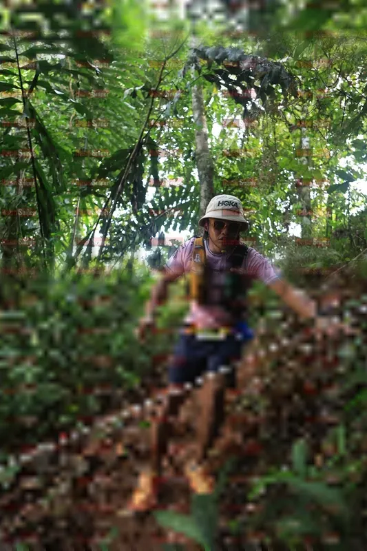 Photo ID 5511195