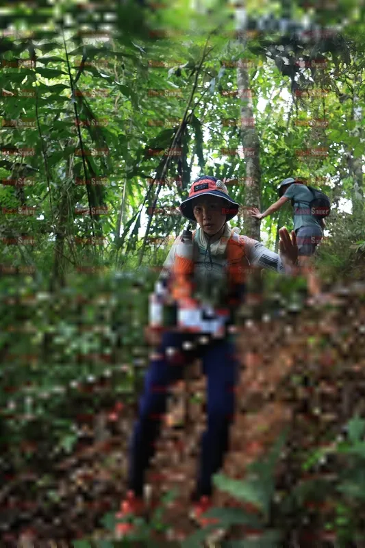 Photo ID 5511215
