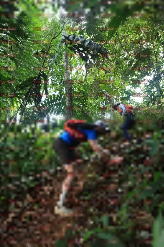 Photo ID 5511243