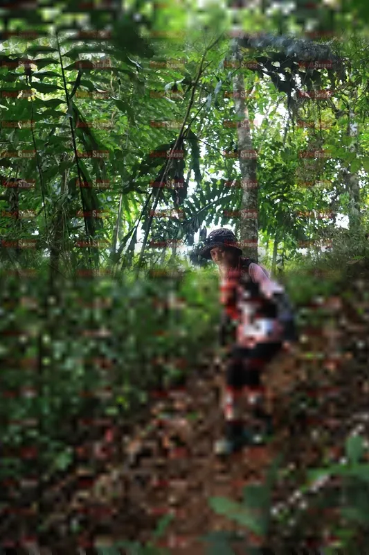 Photo ID 5511261
