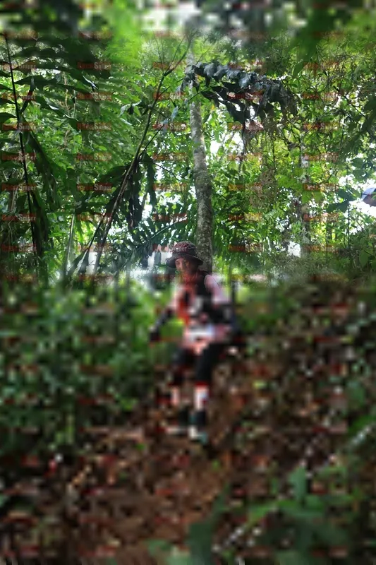 Photo ID 5511262