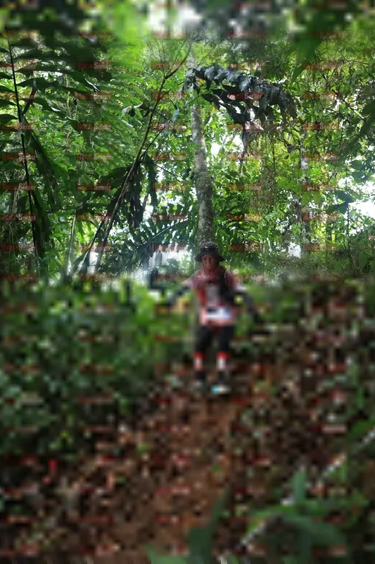 Photo ID 5511298