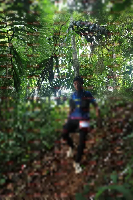 Photo ID 5511454