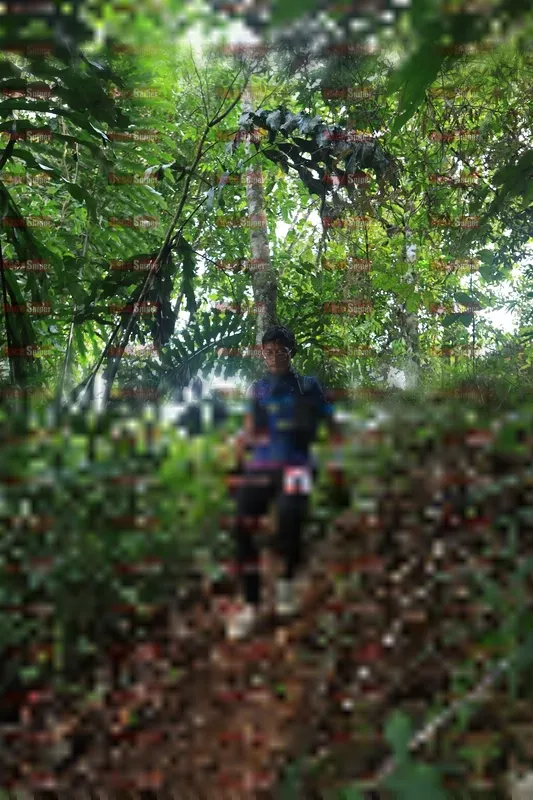 Photo ID 5511456