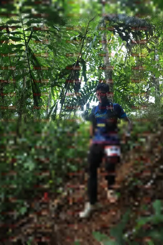 Photo ID 5511459