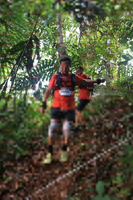 Photo ID 5511536