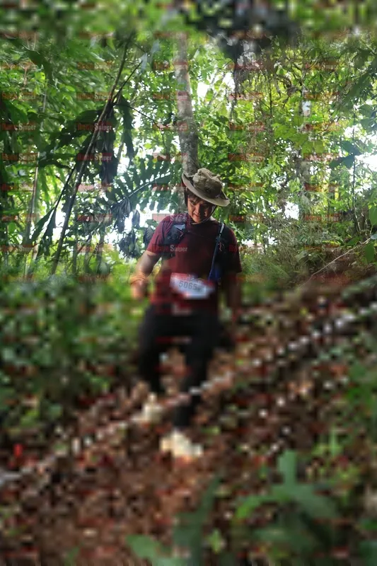 Photo ID 5511549