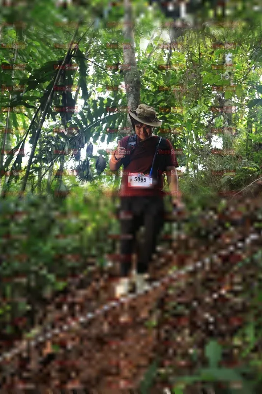 Photo ID 5511550